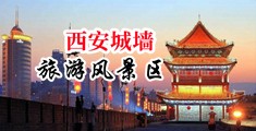 淫B内射网中国陕西-西安城墙旅游风景区